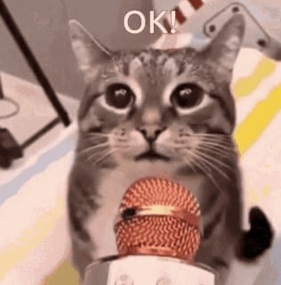 Meme ok cute