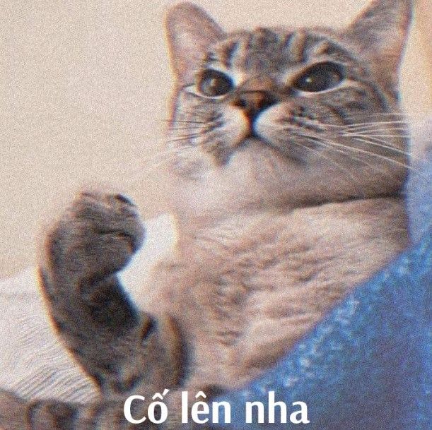 Meo Co Len