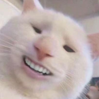 Mèo Cười Nhe Răng