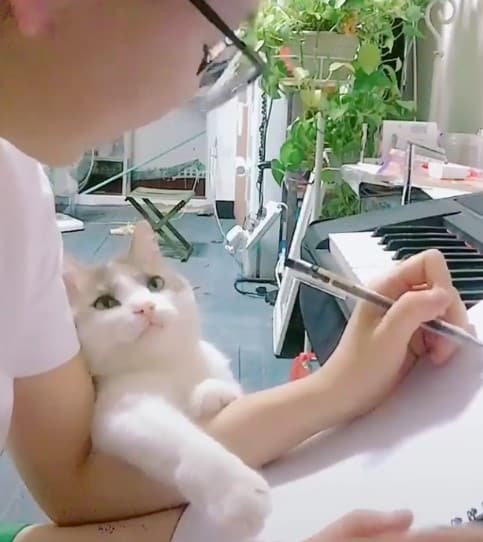 Mèo Ôm Tay Sen