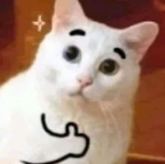 Mèo Thả Like Nghộ Nghĩnh