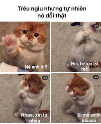 Mèo Xin Lỗi Người Yêu Cute
