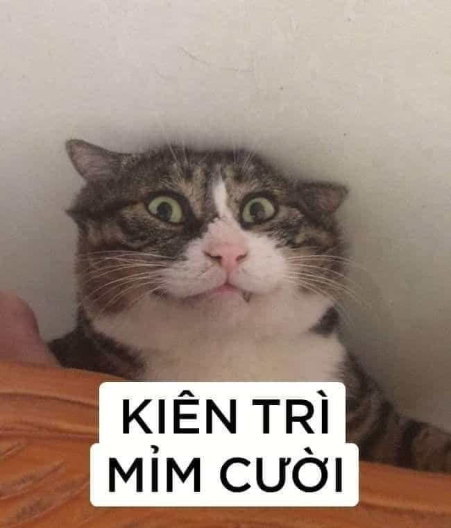 Mỉm cười gượng