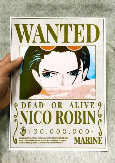 Tấm Ảnh Truy Nã Robin