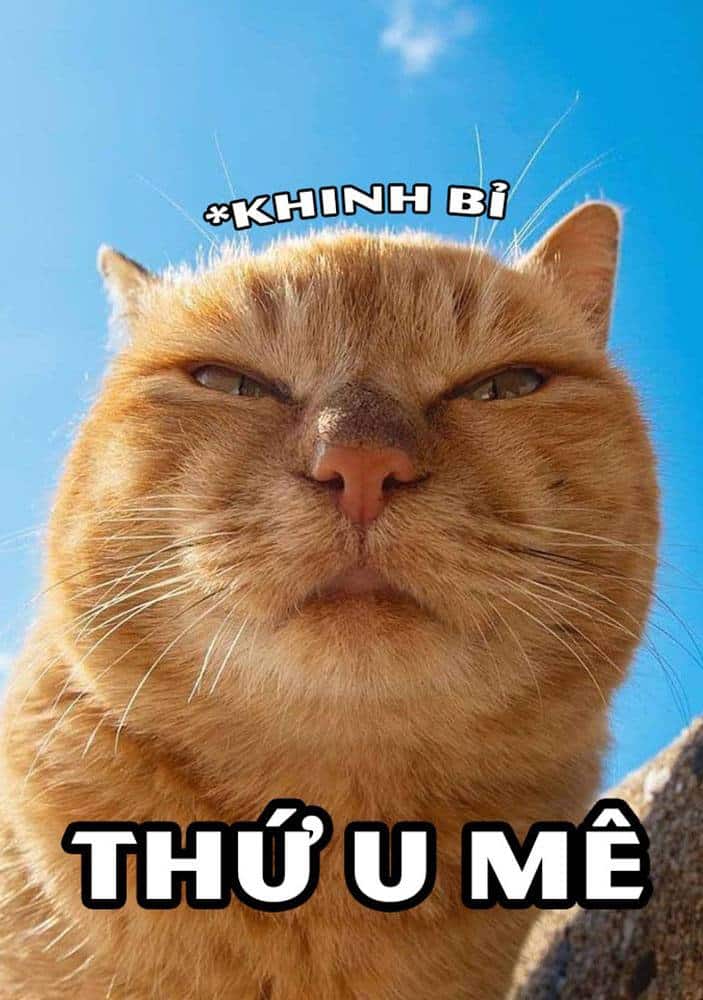 Thu u me