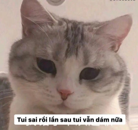 Tui sai roi