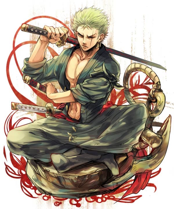 Zoro Sau 2 Năm