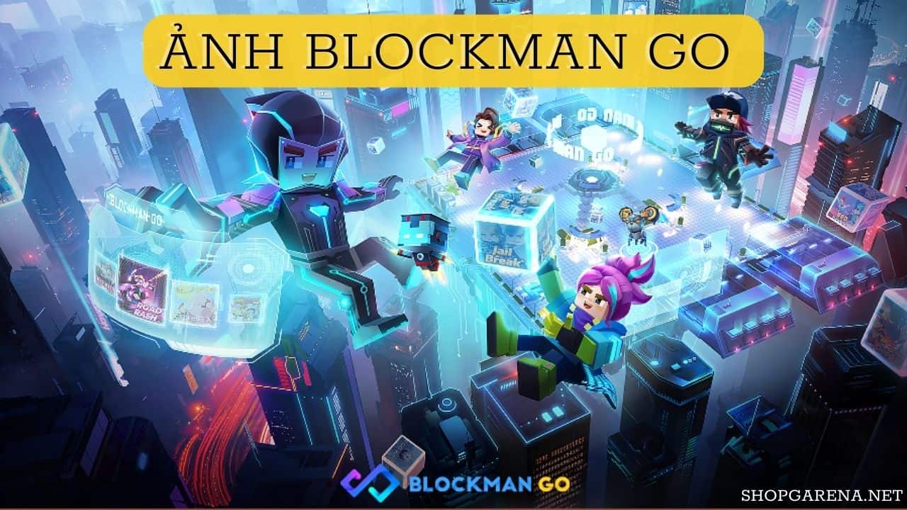 Anh Blockman Go