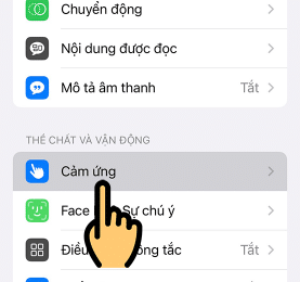 Chọn mục Cảm ứng
