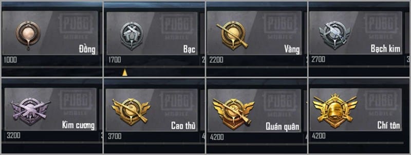 Hình Rank Cao Thủ Pubg cùng các rank khác