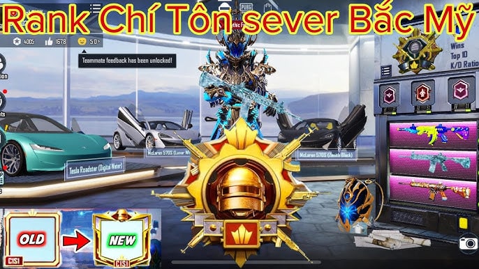 Hình rank Chí Tôn Pubg độc lạ