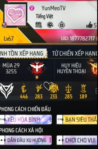 ID Của Yunmeo TV
