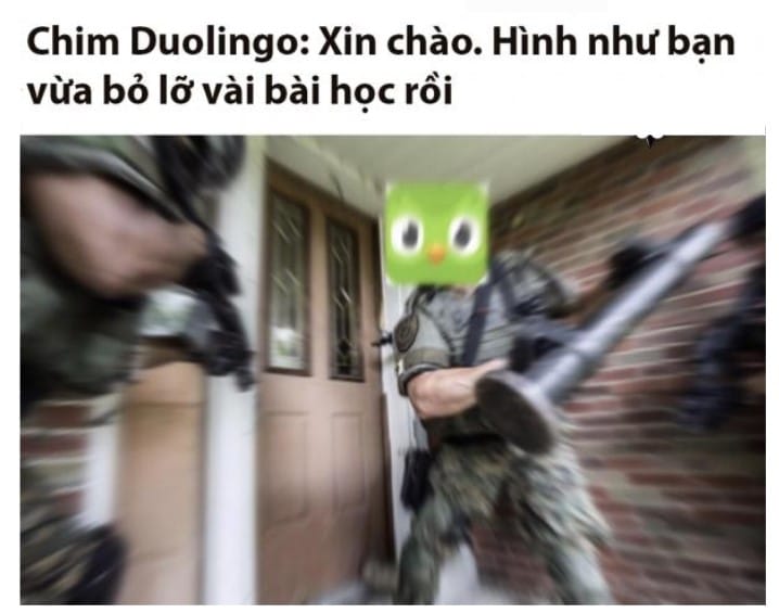 Ảnh chế Duolingo cực hài