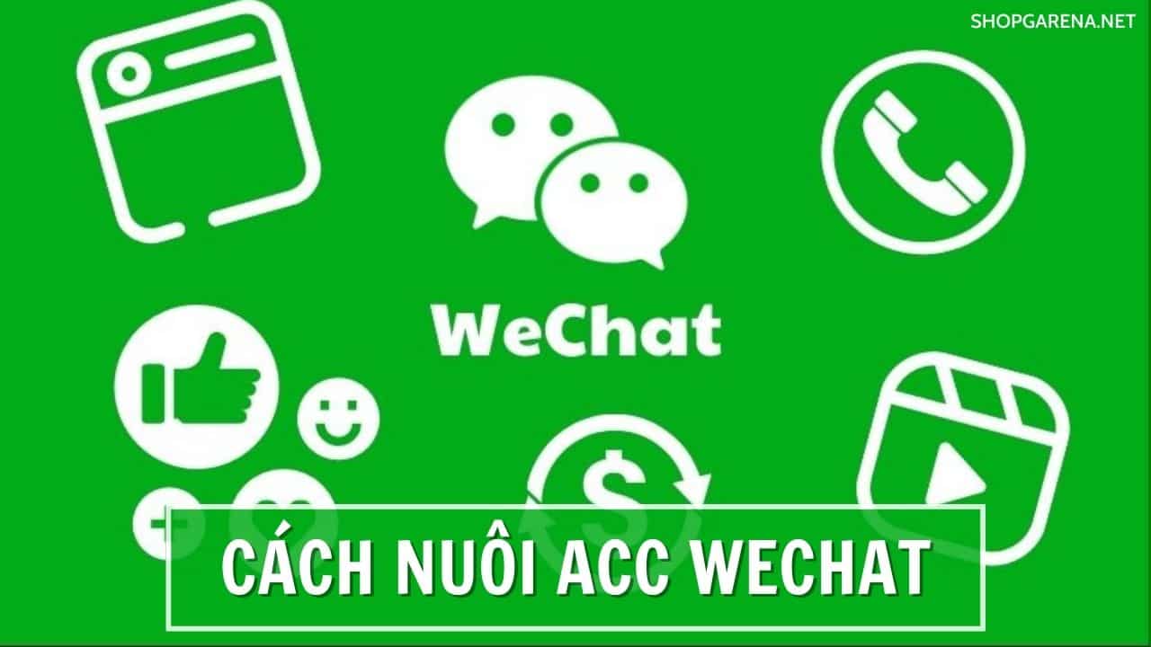 Cach Nuoi ACC Wechat