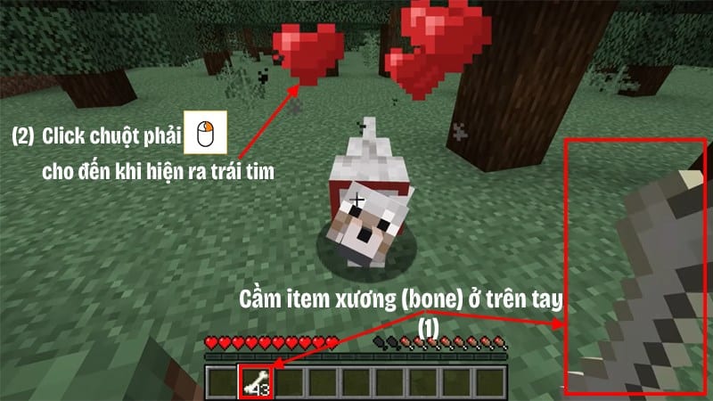 Chó sói thích ăn xương