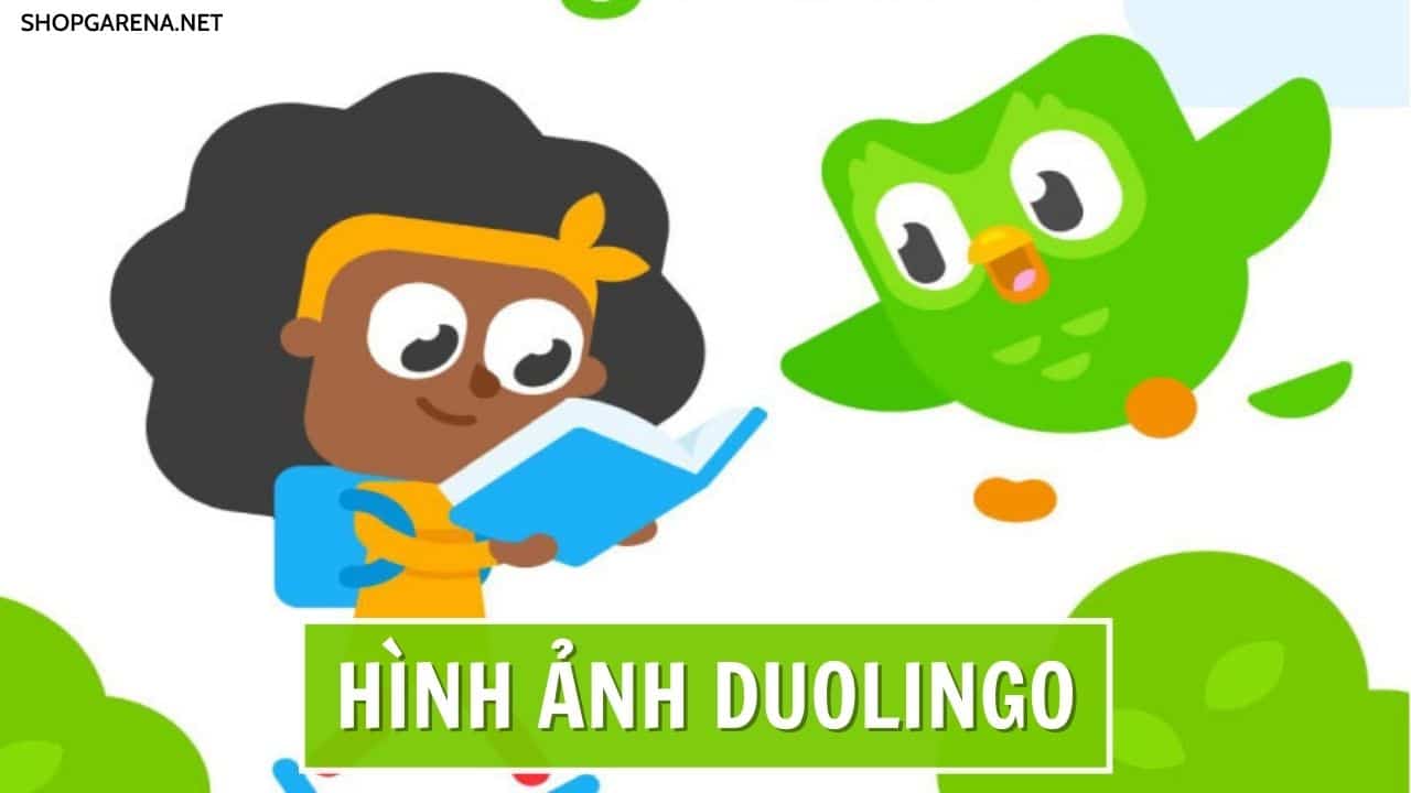 Hinh Anh Duolingo