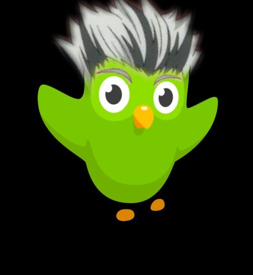 Hình Duolingo cho con trai bá đạo