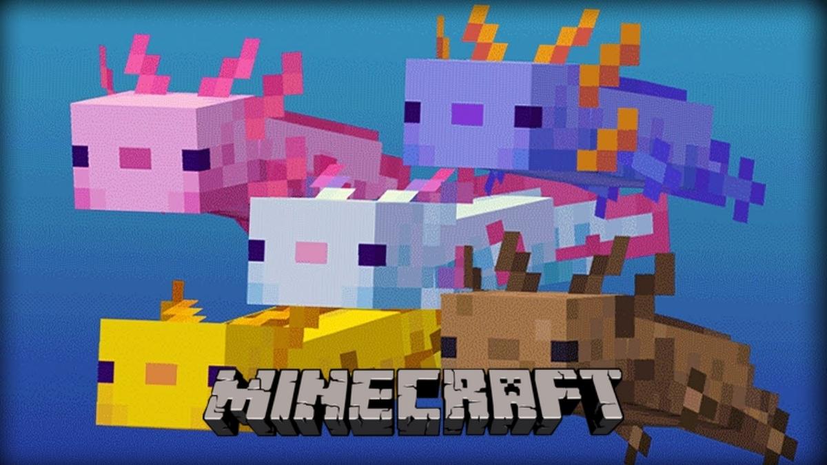 Hình ảnh Axolotl Minecraft đáng yêu