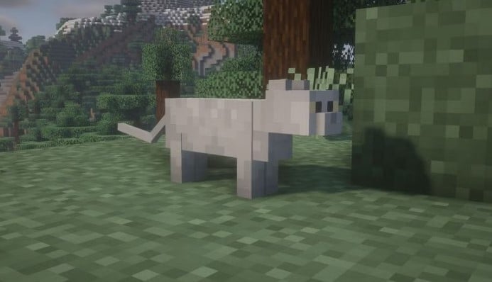 Hình ảnh mèo trong Minecraft mới nhất