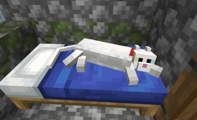 Hình ảnh mèo trong Minecraft siêu cute
