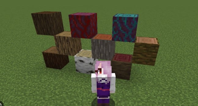 Hình ảnh một số các khối gỗ trong Minecraft