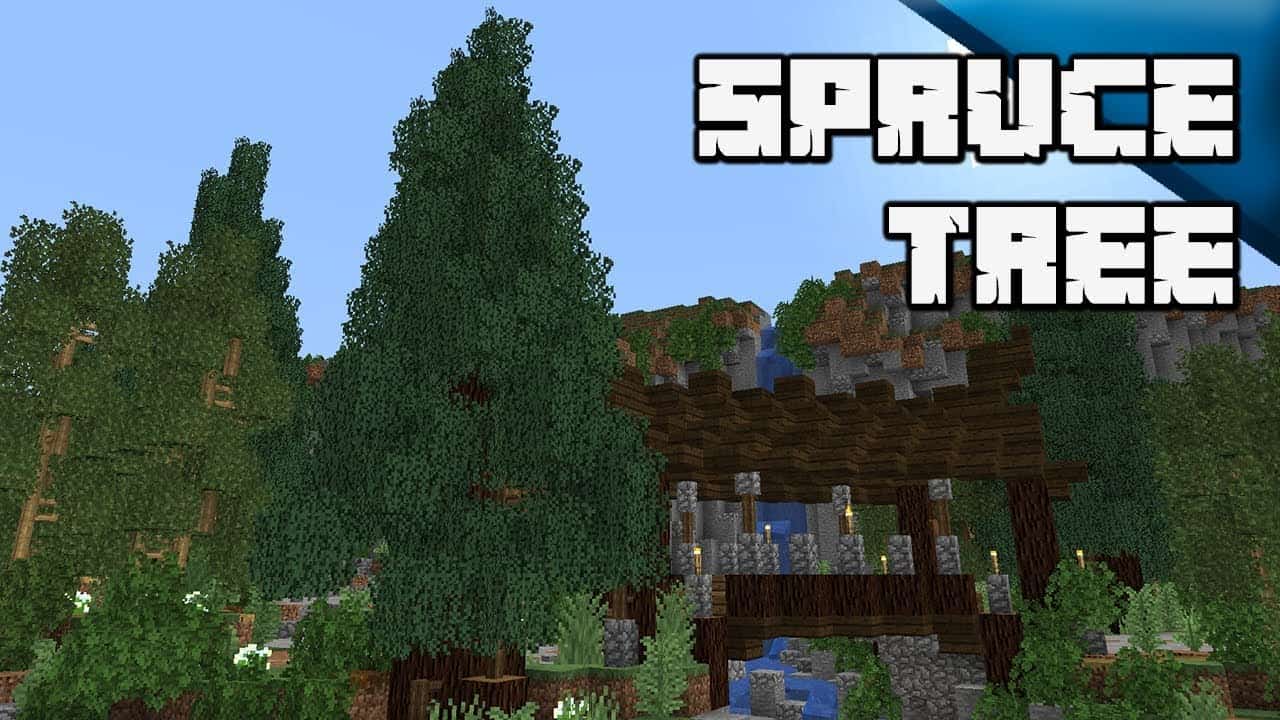 Hình ảnh gỗ Vân Sam Minecraft
