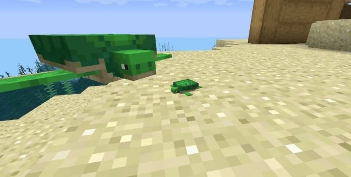 Hình ảnh rùa trong Minecraft đáng yêu