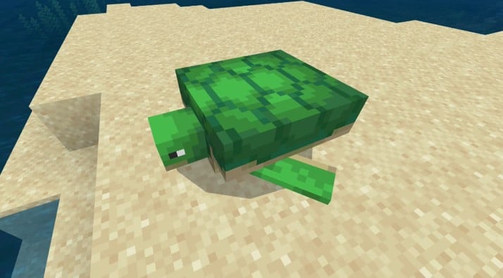 Hình ảnh rùa trong Minecraft dễ thương