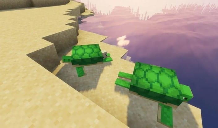 Hình ảnh rùa trong Minecraft mới nhất
