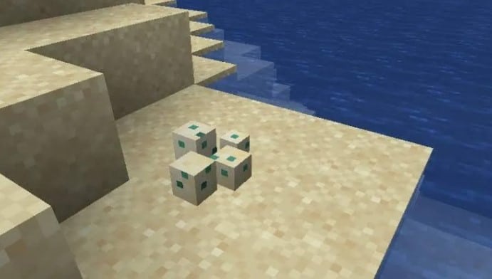 Hình ảnh trứng rùa trong Minecraft đẹp nhất