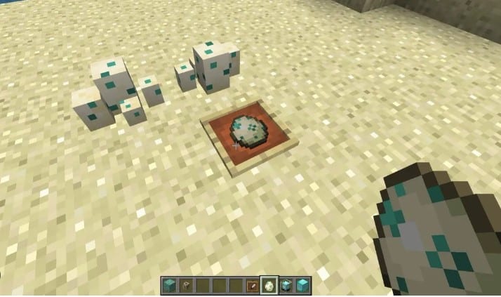 Hình ảnh trứng rùa trong Minecraft độc lạ