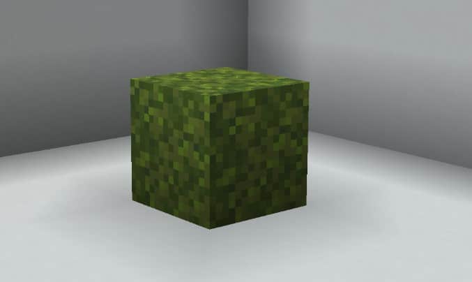 Hình khối rêu trong Minecraft ấn tượng