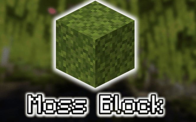 Hình khối rêu trong Minecraft đẹp nhất