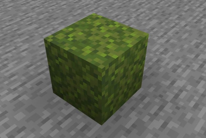 Hình khối rêu trong Minecraft