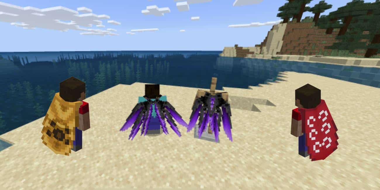 Hình skin cánh cứng Minecraft chất nhất