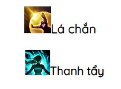 Sử Dụng Lá Chắn, Thanh Tẩy