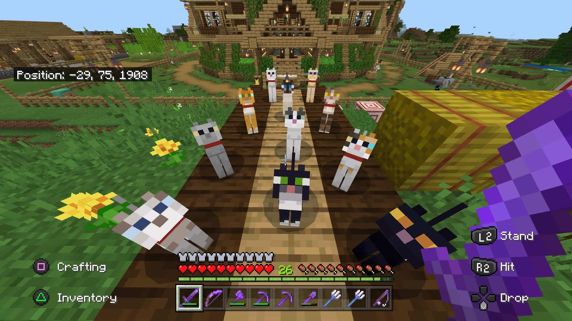 Thu thập nhiều mèo Minecraft