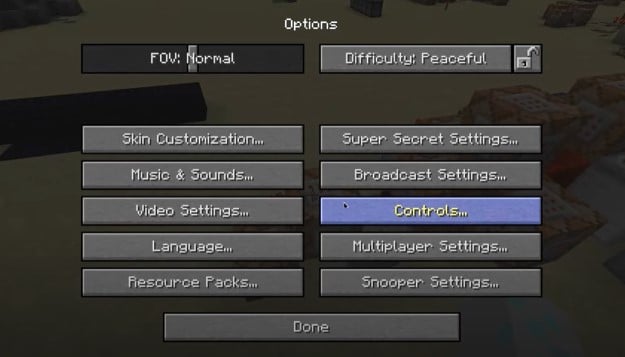 Trong màn cài đặt Options, chọn Controls