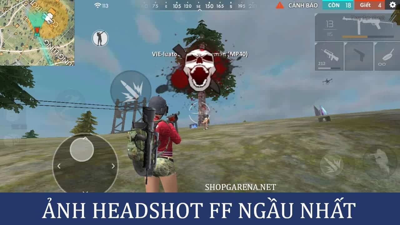 Anh Headshot FF