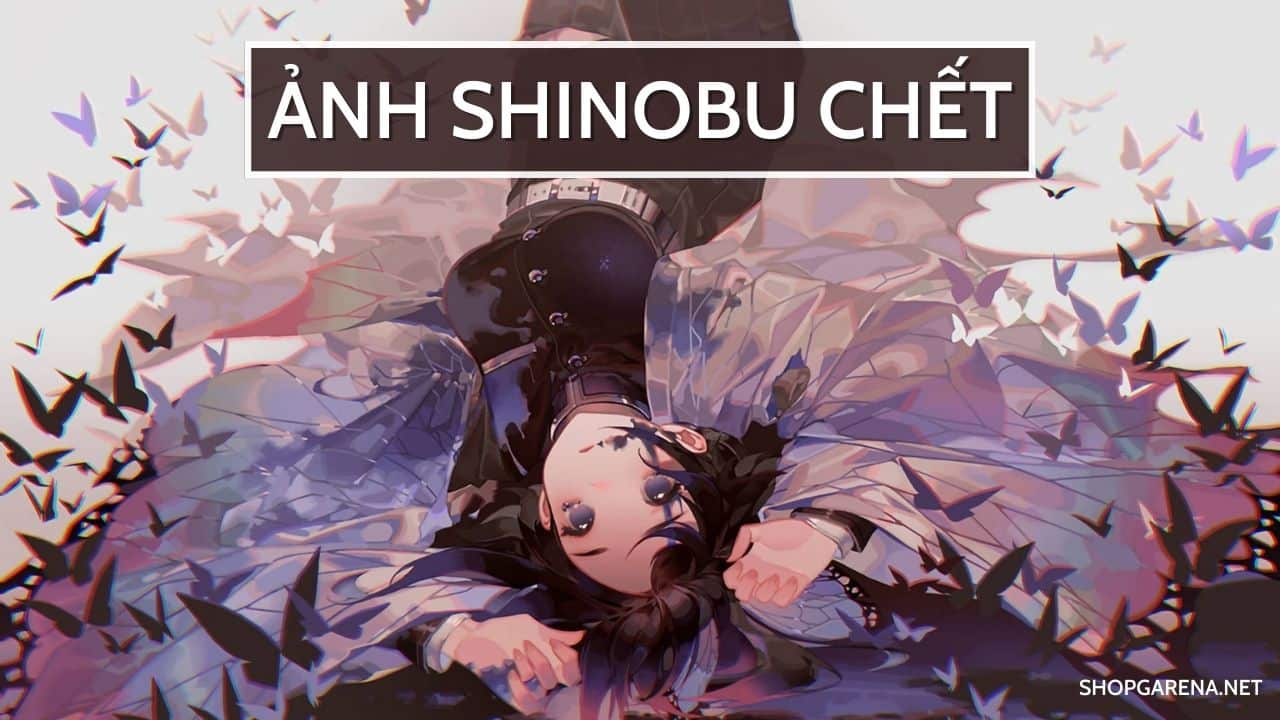 Anh Shinobu Chet