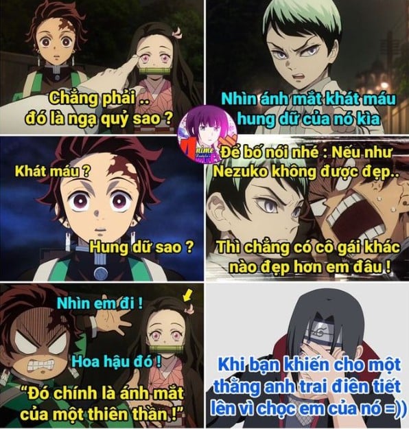 Hình ảnh Shinobu chế vui nhộn