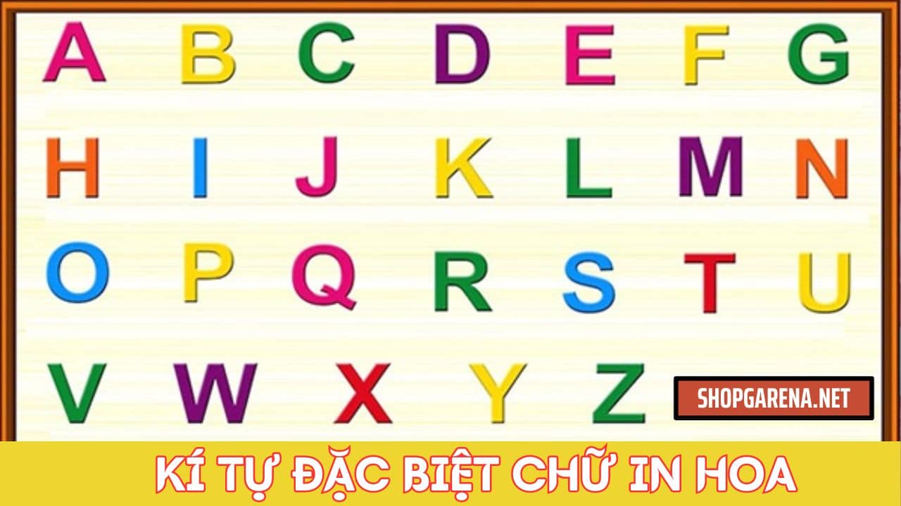 Ki Tu Dac Biet Chu In Hoa
