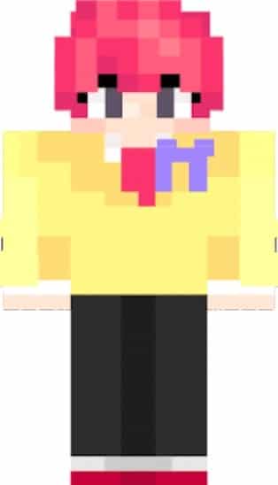 Shop Garena share cho bạn hình hiha minecraft