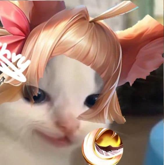 Aya mèo meme Liên Quân