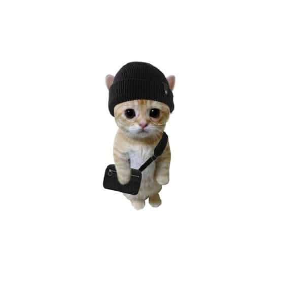 Hình ảnh vô tri đáng yêu