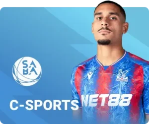 Cá cược C Sport tại Sky88