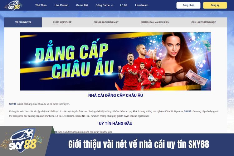 Giới thiệu vài nét về nhà cái uy tín SKY88