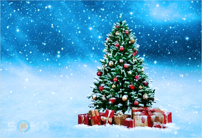 mơ thấy cây thông noel đánh lô đề con gì