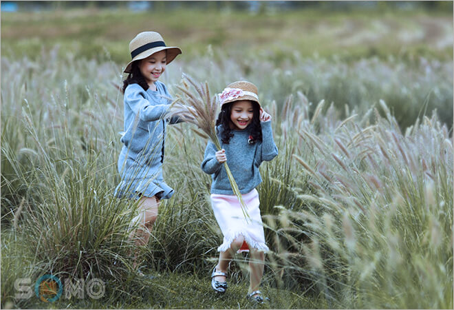 mơ thấy chị gái đánh lô đề con gì