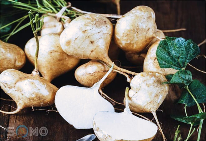 mơ thấy củ đậu đánh lô đề con gì